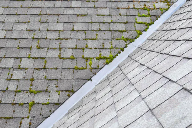 moss build up can damage roof